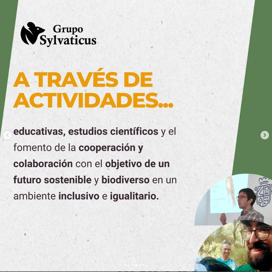 SylvaticusG's tweet photo. 🌳💚GRUPO SYLVATICUS SE ESTRENA EN X! 🌳💚
Síguenos también en nuestro IG, la red social en la que tenemos más actividad, o ponte en contacto con nosotros en gruposylvaticus@gmail.com
https://t.co/BTV9dqGpkp https://t.co/Vll5VX1M1T