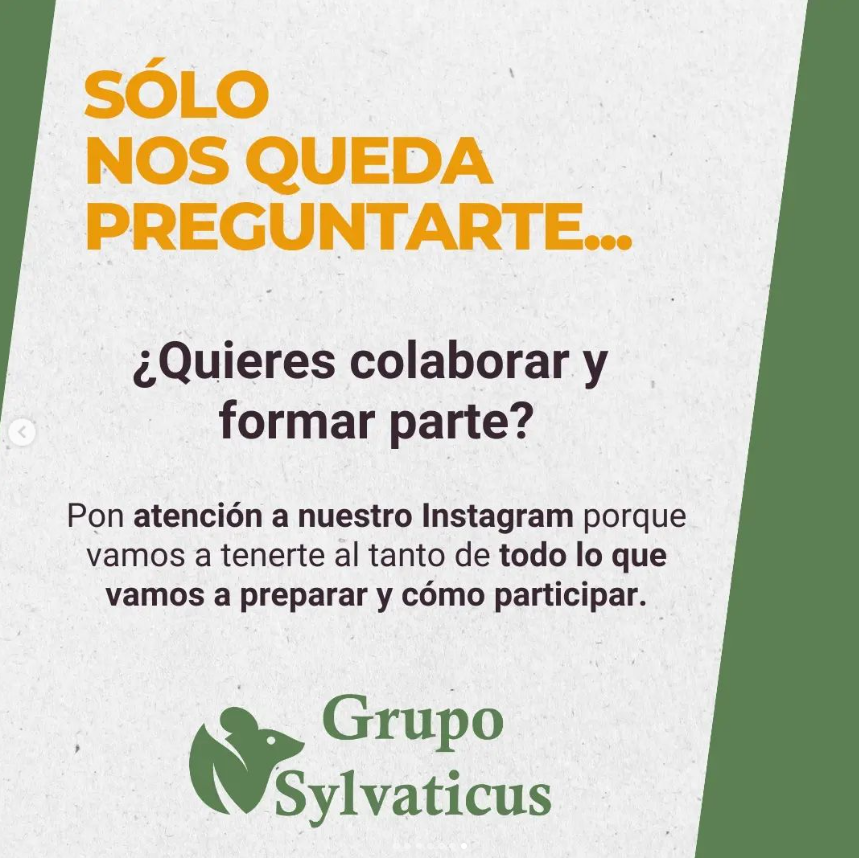 SylvaticusG's tweet photo. 🌳💚GRUPO SYLVATICUS SE ESTRENA EN X! 🌳💚
Síguenos también en nuestro IG, la red social en la que tenemos más actividad, o ponte en contacto con nosotros en gruposylvaticus@gmail.com
https://t.co/BTV9dqGpkp https://t.co/Vll5VX1M1T