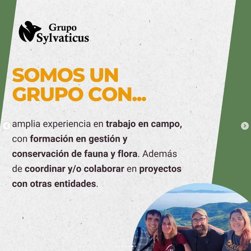 SylvaticusG's tweet photo. 🌳💚GRUPO SYLVATICUS SE ESTRENA EN X! 🌳💚
Síguenos también en nuestro IG, la red social en la que tenemos más actividad, o ponte en contacto con nosotros en gruposylvaticus@gmail.com
https://t.co/BTV9dqGpkp https://t.co/Vll5VX1M1T