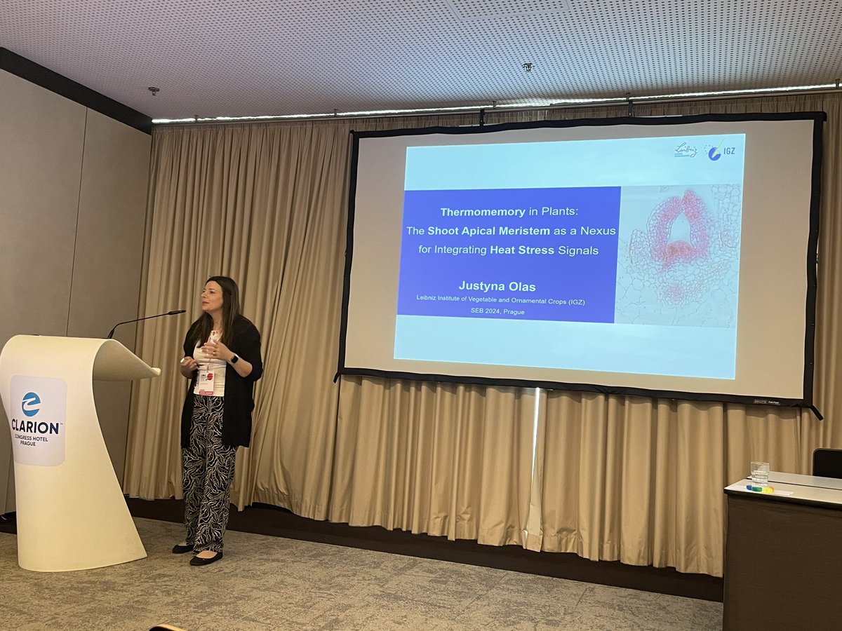 Priyanka Chopra (@peeeeceee) on Twitter photo Had a wonderful session on heat stress 🔥 in plants 🪴 with exciting talks from <a href="/HotPlant1/">Fragkostefanakis Lab</a> <a href="/JustynaOlas/">Justyna Olas</a> <a href="/StressGranuleMC/">Monika Chodasiewicz</a> <a href="/PhilWigge/">Phil @wigge.bsky.social</a>
An exciting day full of interesting science at <a href="/SEBiology/">SEB @sebiology.bsky.social</a> conference 2024-Prague #sebconference Had a wonderful session on heat stress 🔥 in plants 🪴 with exciting talks from <a href="/HotPlant1/">Fragkostefanakis Lab</a> <a href="/JustynaOlas/">Justyna Olas</a> <a href="/StressGranuleMC/">Monika Chodasiewicz</a> <a href="/PhilWigge/">Phil @wigge.bsky.social</a>
An exciting day full of interesting science at <a href="/SEBiology/">SEB @sebiology.bsky.social</a> conference 2024-Prague #sebconference
