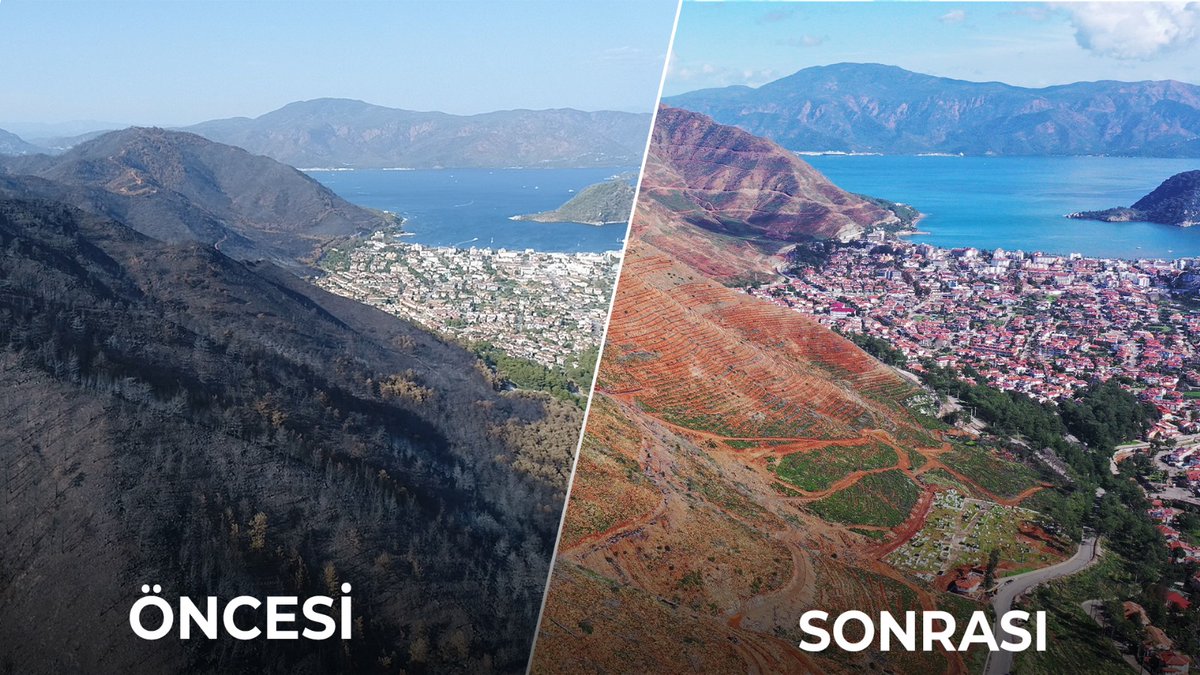 Devletimiz tüm gücüyle orman yangınlarını önlemeye ve orman yangınlarının #YeşilVatan'a verdiği zararı telafi etmeye çalışıyor.

Ormanlarımızın muhafazası bireysel sorumlulukla mümkün...
#yeşilVatan