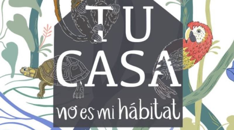 Oigan los mapaches están increíbles pero... no bailan Pedro, Pedro, Pedro  y tampoco son opción de mascota, de hecho ningún animal silvestre...