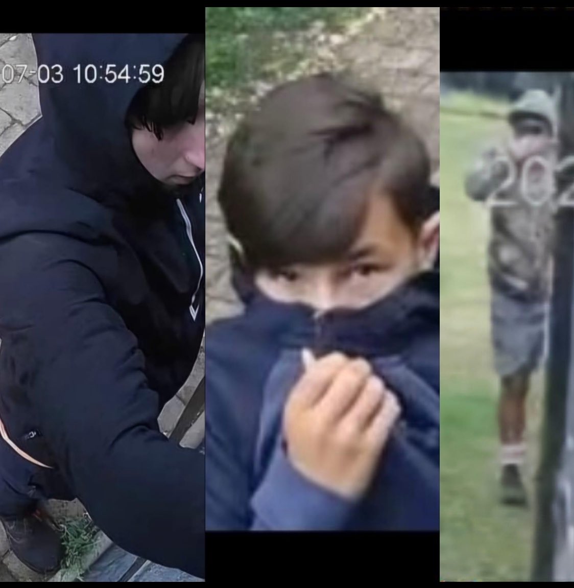 Claire Bines tweet media