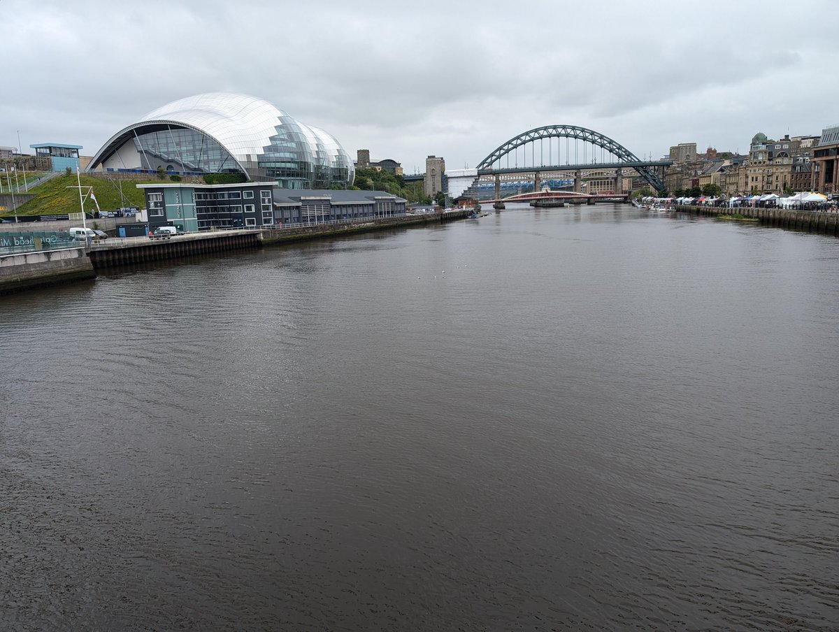 Sara Nelson (RN, QN) tweet media