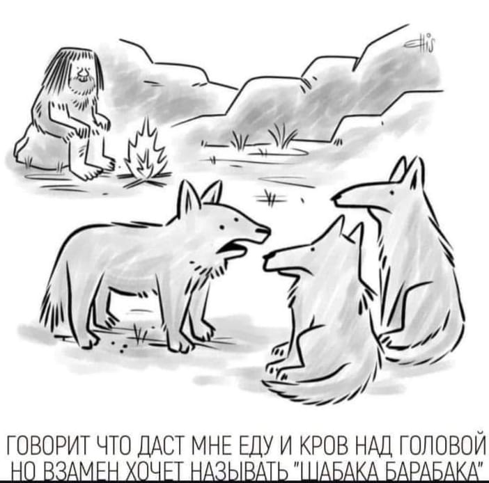 Кэналлийский Енот 🦝🍷🗡️ (@alexraccoonn1) on Twitter photo 