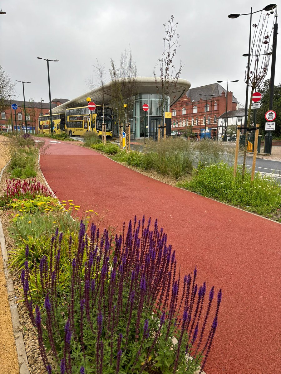 The flowers are looking lovely outside Oldham bus station! 😍✨ #LoveOldham #OldhamInBloom #CommunityGarden