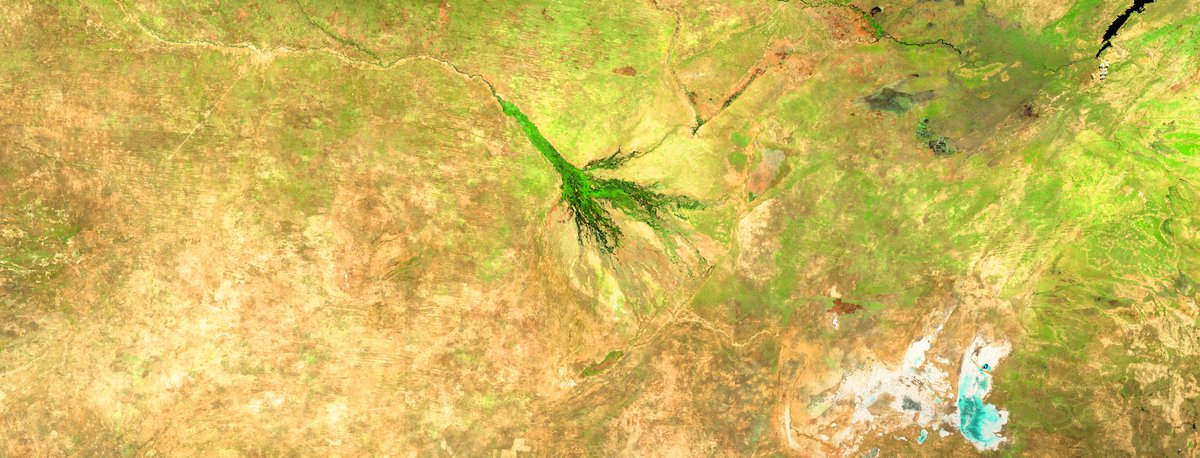 -- -- --------- tweet media