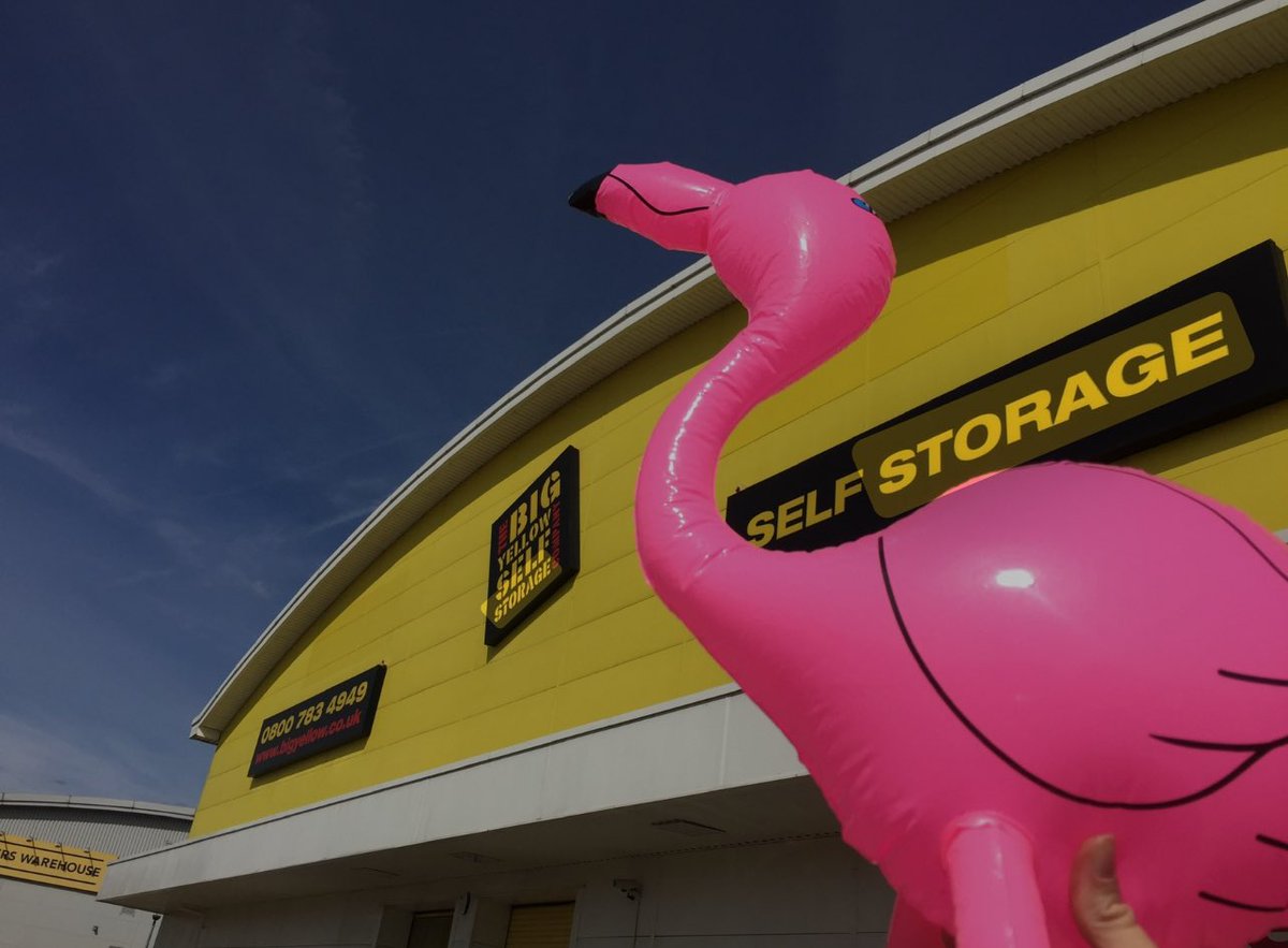 AWTF1's tweet photo. Summer is coming everyone! ☀️🦩💖 Huge thank you to  @bigyellowss for supporting AWTF, you've helped us raise money to feed 120 families and provide 300 meals a week to the homeless 🫶🏼 #awtf #Gratitude https://t.co/wvFIgCTOuf