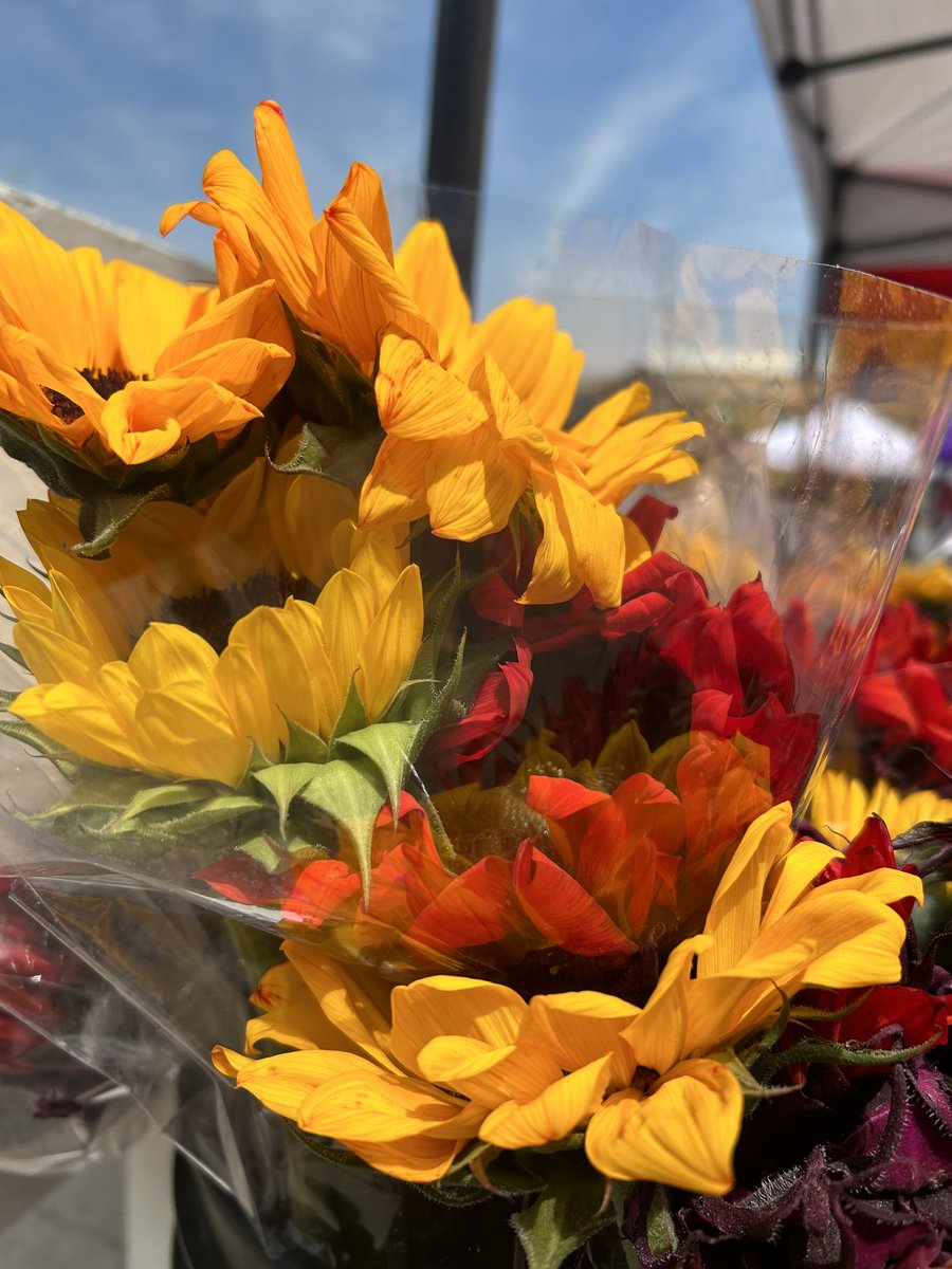 whitbylibrary's tweet image. Summertime vibes galore 🏖️at today's farmer's market in front of the Central Library! ☀️More than 100 people have already stopped by our tent!🎉
#BuyLocal and come visit friends including our booth neighbour Hammy. 

#Whitby #LibraryFun