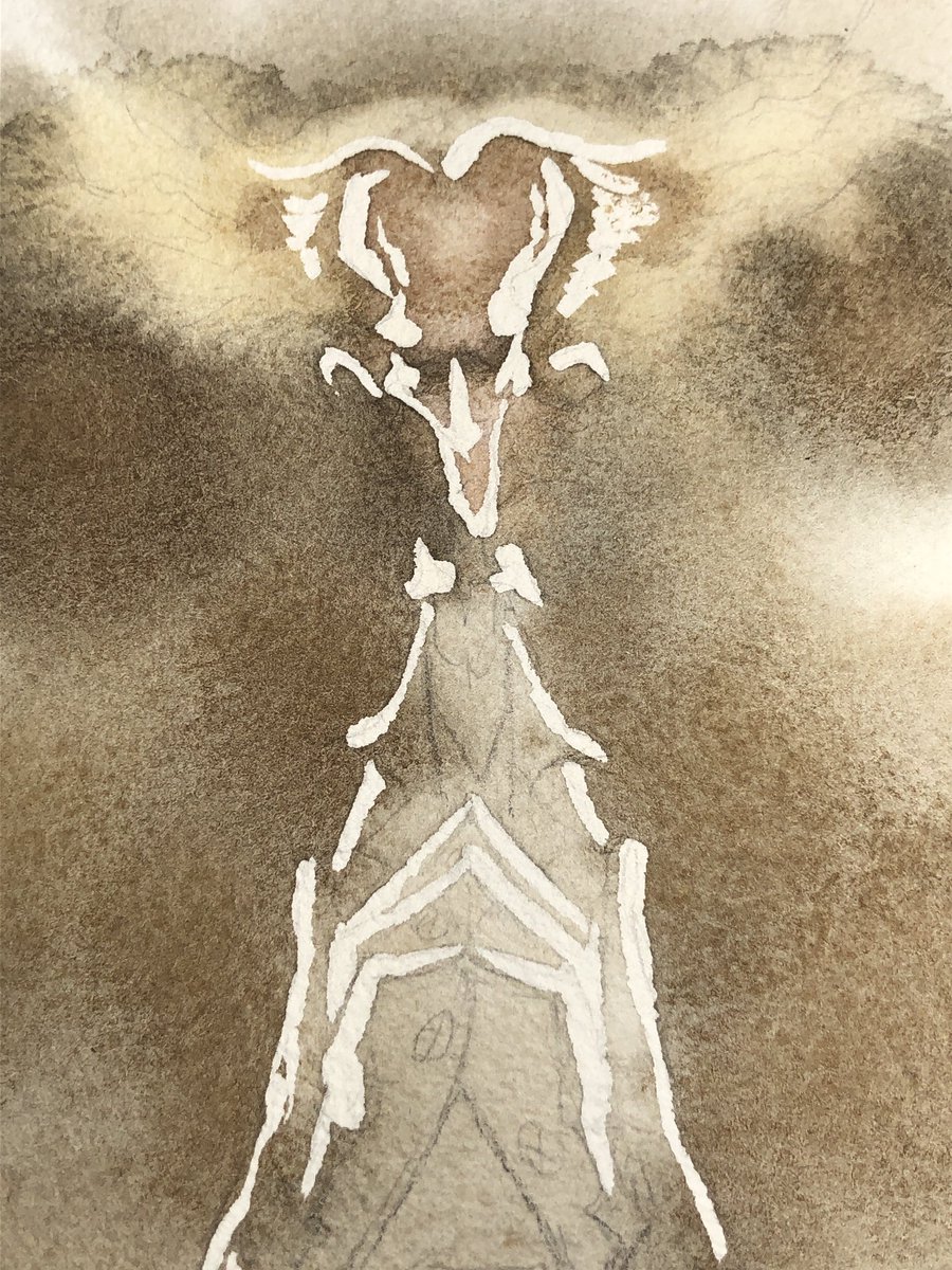 GrisGrimly's tweet photo. Work-in-progress- Count Olaf
#watercolor #grisgrimly #grisgrimlyart #Holbein @HolbeinArt #holbeinwatercolors #holbeinartistwatercolor #wip #countolaf #aseriesofunfortunateevents https://t.co/bKE5nyGNj2