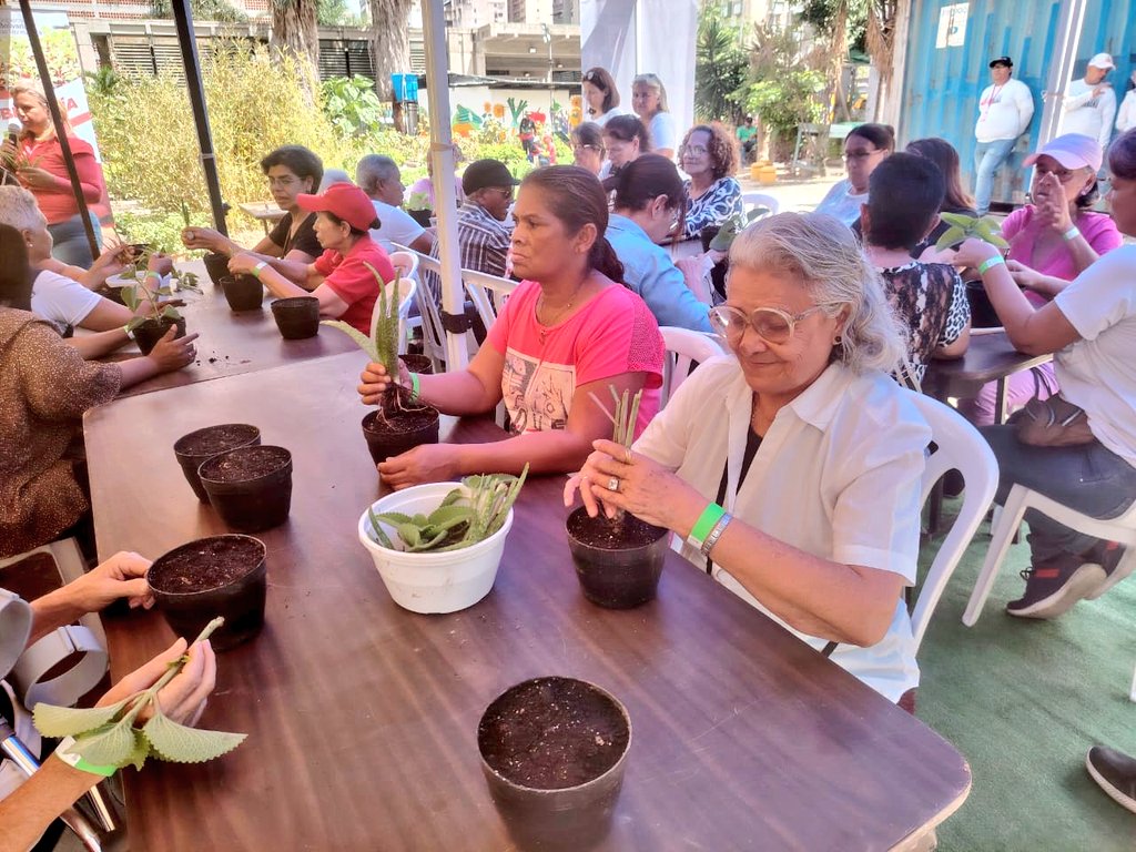 🌱 ¡Sembrando juntos, creciendo juntos!

En el Organopónico Bolívar 1, nuestros abuelitos cultivan plantas medicinales y comparten momentos de alegría y aprendizaje. 

¡Una experiencia única que fortalece los lazos familiares y comunitarios!

#7FuerzasParaLaVictoria