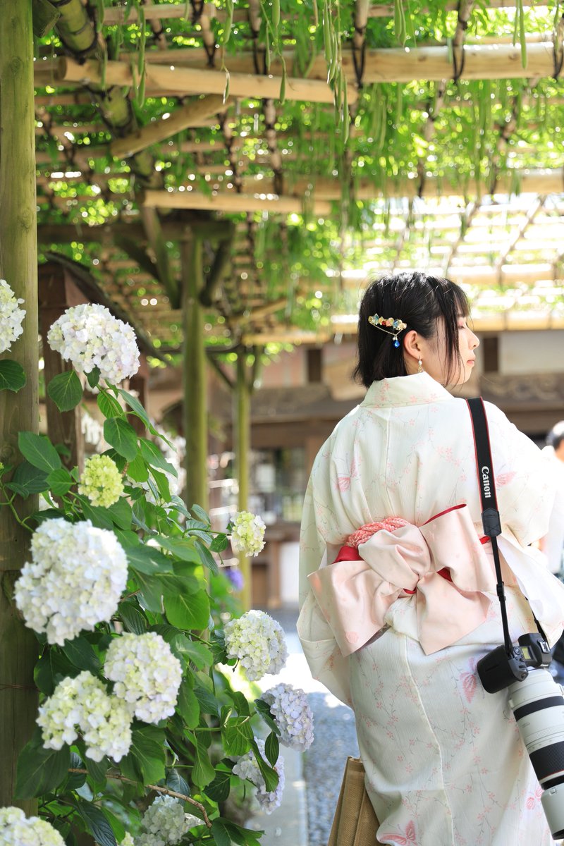 Yousk0316's tweet photo. 紫陽花と私と愛機

(多分すまし顔で肩にさげてるやつじゃない)

📸@F30___320i 

#雨引観音 #ZRV #RZ4 #ポートレートが好きな人と繋がりたい #ポートレート撮影 https://t.co/1SjWuo5NQZ