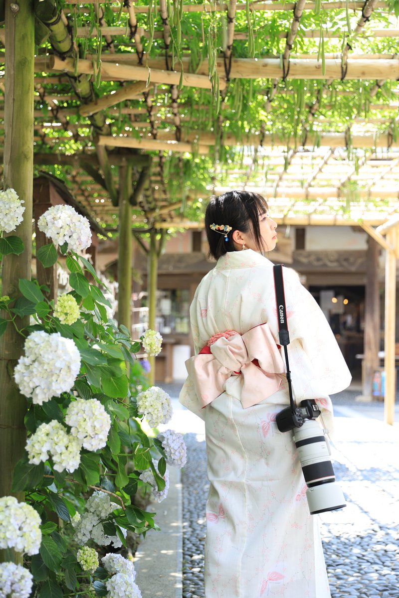 Yousk0316's tweet photo. 紫陽花と私と愛機

(多分すまし顔で肩にさげてるやつじゃない)

📸@F30___320i 

#雨引観音 #ZRV #RZ4 #ポートレートが好きな人と繋がりたい #ポートレート撮影 https://t.co/1SjWuo5NQZ