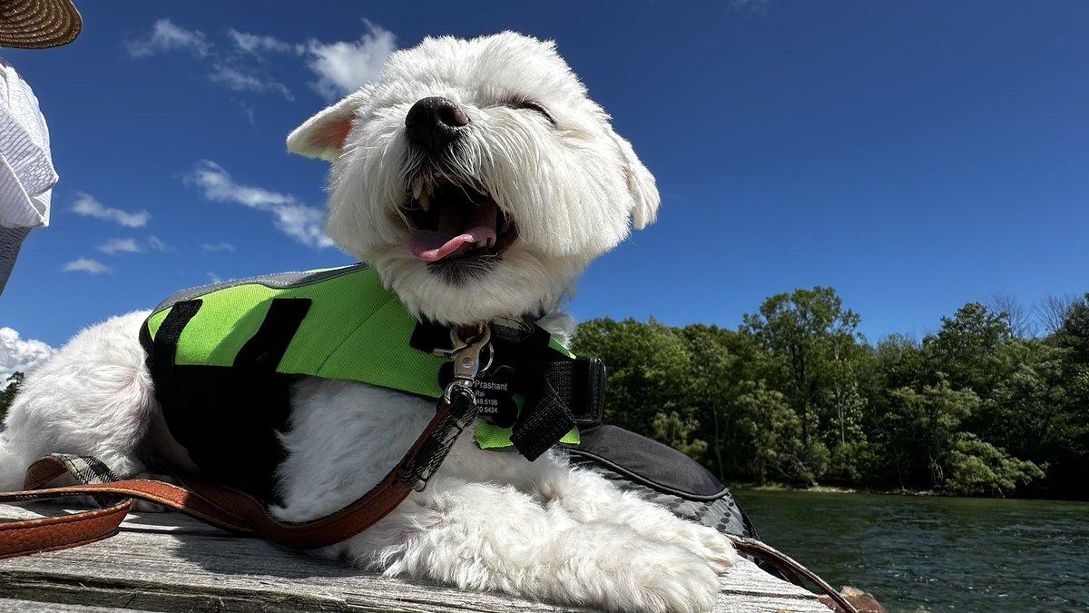 Hey it’s snoopy. Working with Facebook we have fixed the outage issue. Lmk if you need anything. We’re here for ya. We apologize for the inconvenience. ✌🏽🐾