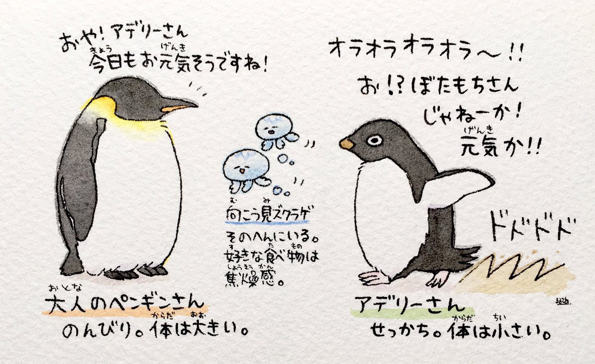 大人のペンギンさんとアデリーさん

最近コウペンちゃんを知ってくださった方もいらっしゃると思うので、彼らの見分け方を載せておきます🍀 