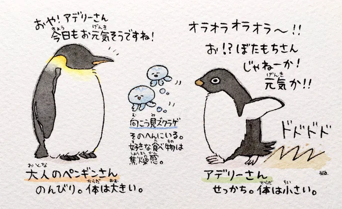 大人のペンギンさんとアデリーさん

最近コウペンちゃんを知ってくださった方もいらっしゃると思うので、彼らの見分け方を載せておきます🍀 