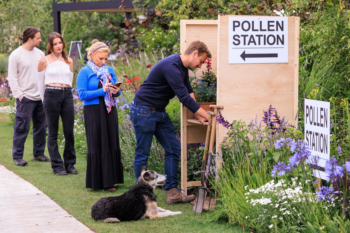 The_RHS's tweet image. Ahead of polling day tomorrow, people (and dogs!) have been flocking to the Pollen Station on the RHS Money-Saving Garden at #RHSHamptonCourt 😉     

Which plant will come out on top as the most loved by pollinators?