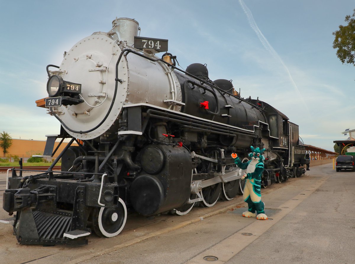 BIG TRAIN smol cabbit