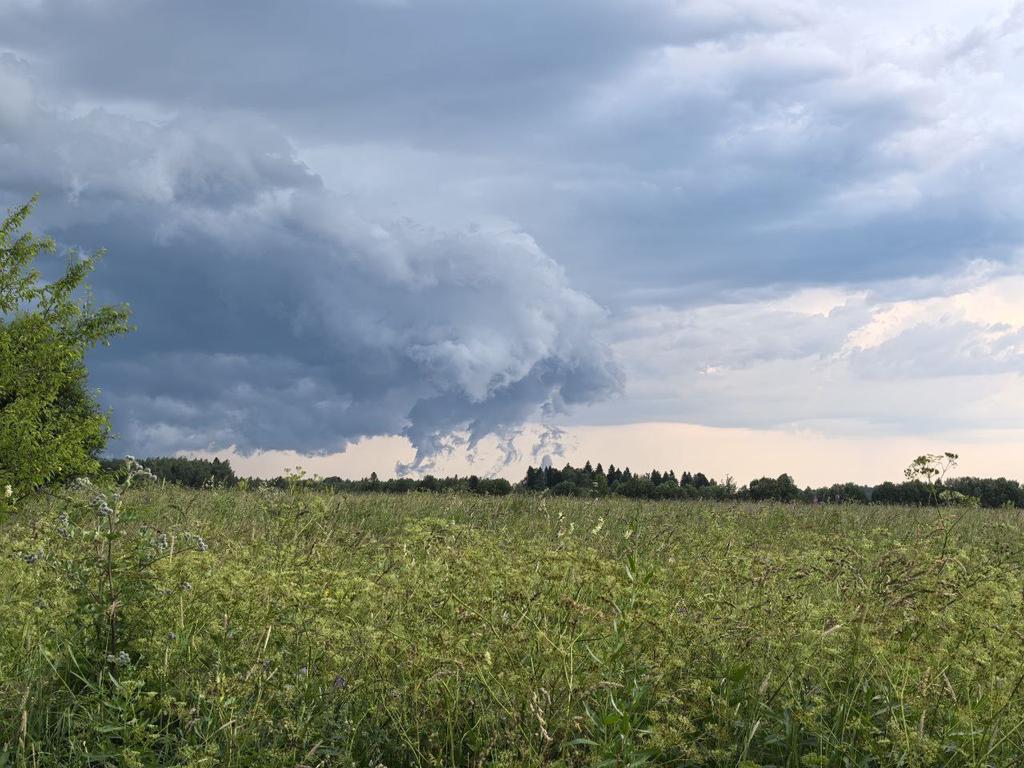 WeatherMonitors's tweet image. 🇷🇺:A structural squall gate (Shelf cloud and Scud cloud) in the #Danilovsky district of the #Yaroslavl region! #Russia.2 July,2024

Always keep informed 
Follow to @Weathermonitors