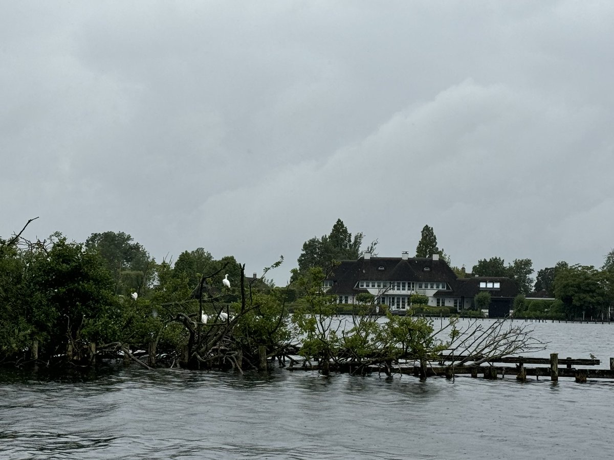 Vanmorgen een leuk (en erg nat) werkbezoek van de De Groene Venen op de Vinkeveense Plassen!

Met een toelichting op het succes van vissenbossen op verzonken legakkers en de aanwezigheid van bijzondere diersoorten.

Zoals een kolonie lepelaars, te zien op deze foto 👇