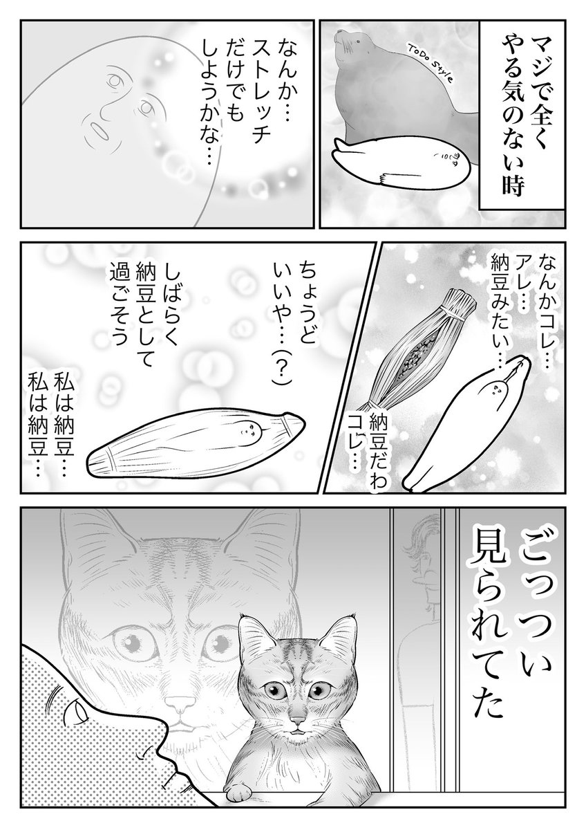 納豆 