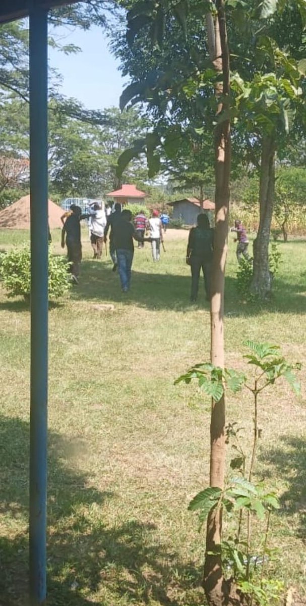 Faith Odhiambo tweet media