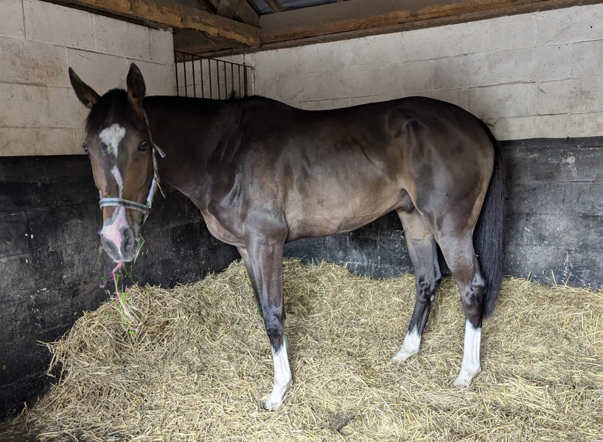 Kelly 🌟 tweet media