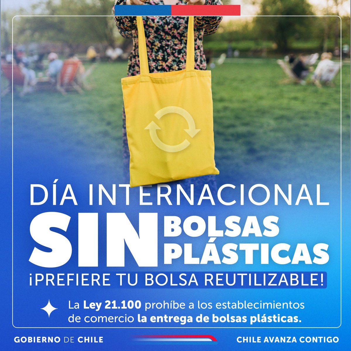 GobiernodeChile tweet picture