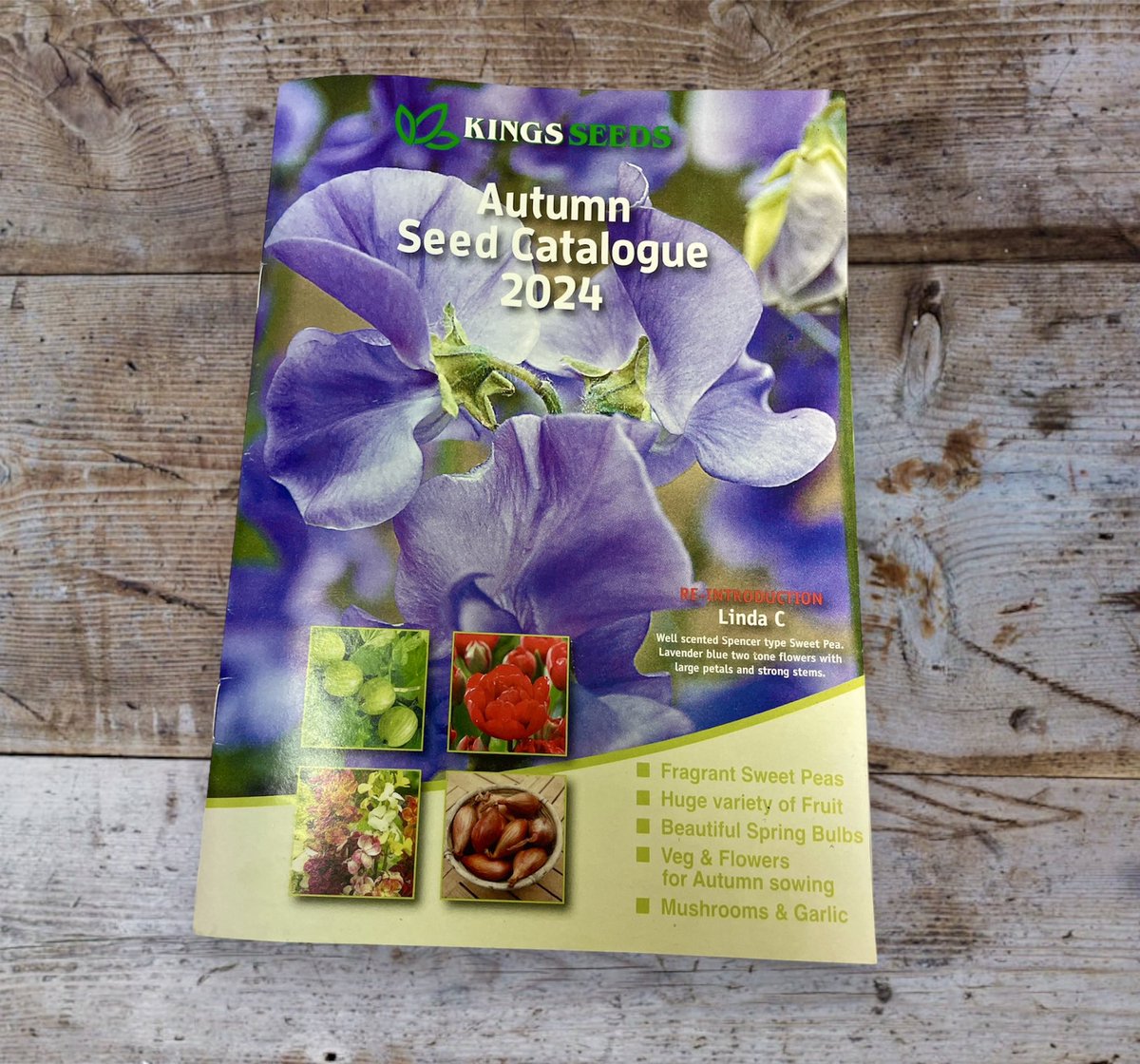 Our autumn catalogue is out now. Full of beautiful sweet peas, autumn planting bulbs, Christmas potatoes, onion and shallot sets, garlic, wallflower plants and more. 🌱
Request a copy of view online.
bit.ly/KingsAutumn