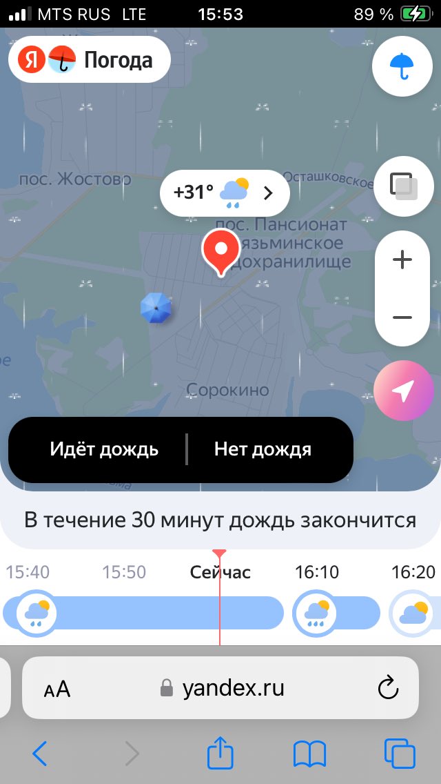 Все-таки в Яндекс.Погода ждут возврата смертной казни! Так предсказывать, как они, меньшего не заслуживает. Нарисовали, что у меня на даче сорок минут дождь идет, паразиты. Все убрали… два раза громыхнуло и … 
Их спасет только расстрел!