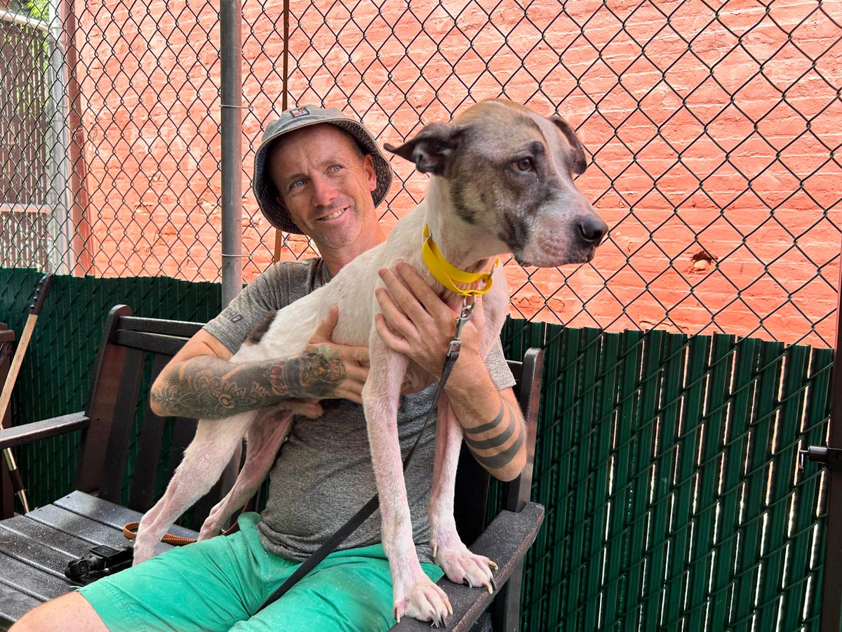 Last week I was in New York and had a few hours to meet dogs in Shelters. I came across Pepper Jack who had been surrendered. Things weren't looking good for him. 

Well the good news is he is now in his forever home. The story will make you smile from ear to ear... (1/6) 🧵