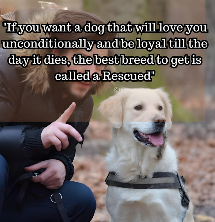 _XDogs's tweet photo. https://t.co/FhyTtWovPX
