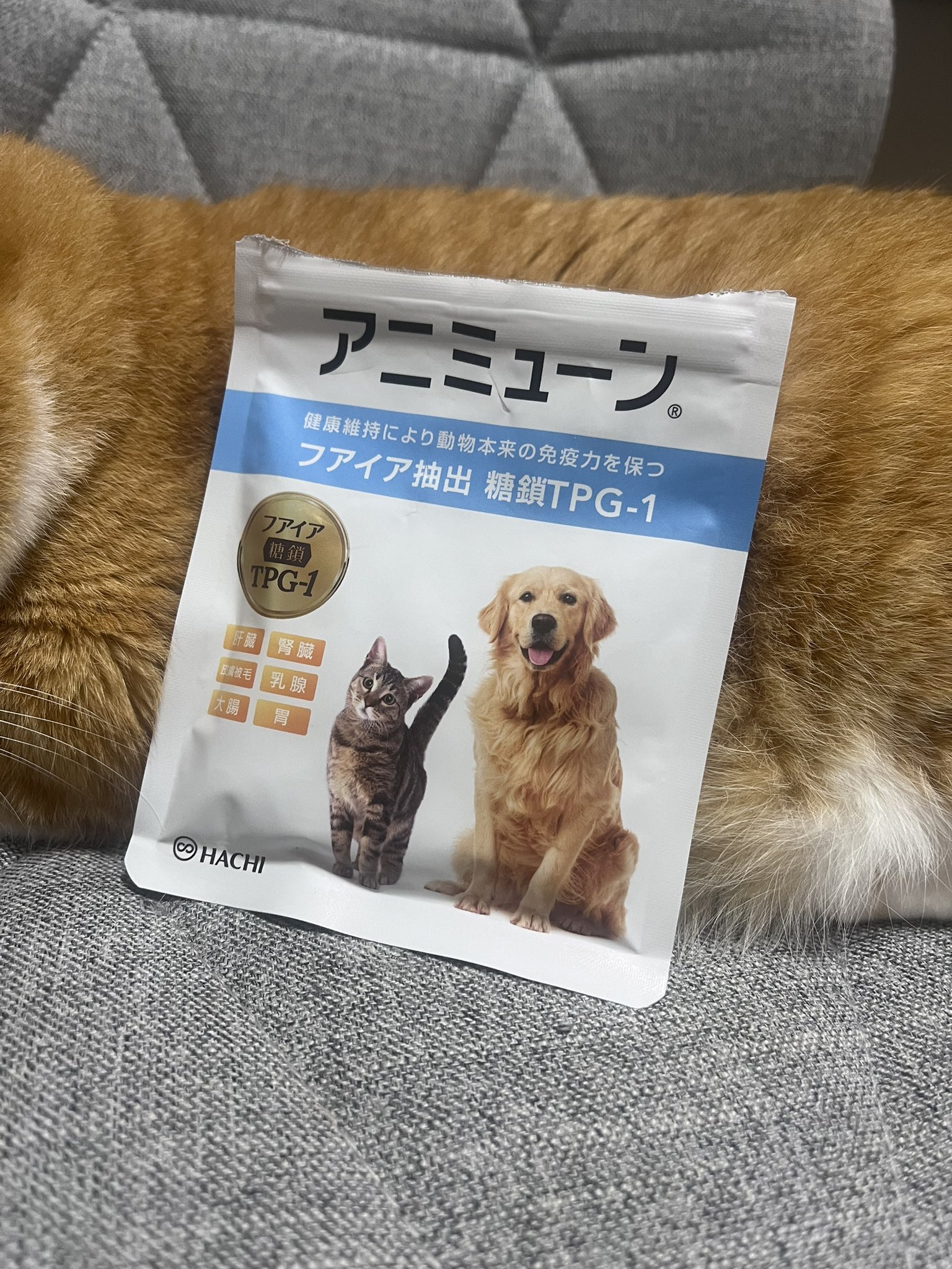 HACHI 遠き アニミューン 犬猫サプリ HACHI 遠き アニミューン 犬猫サプリ