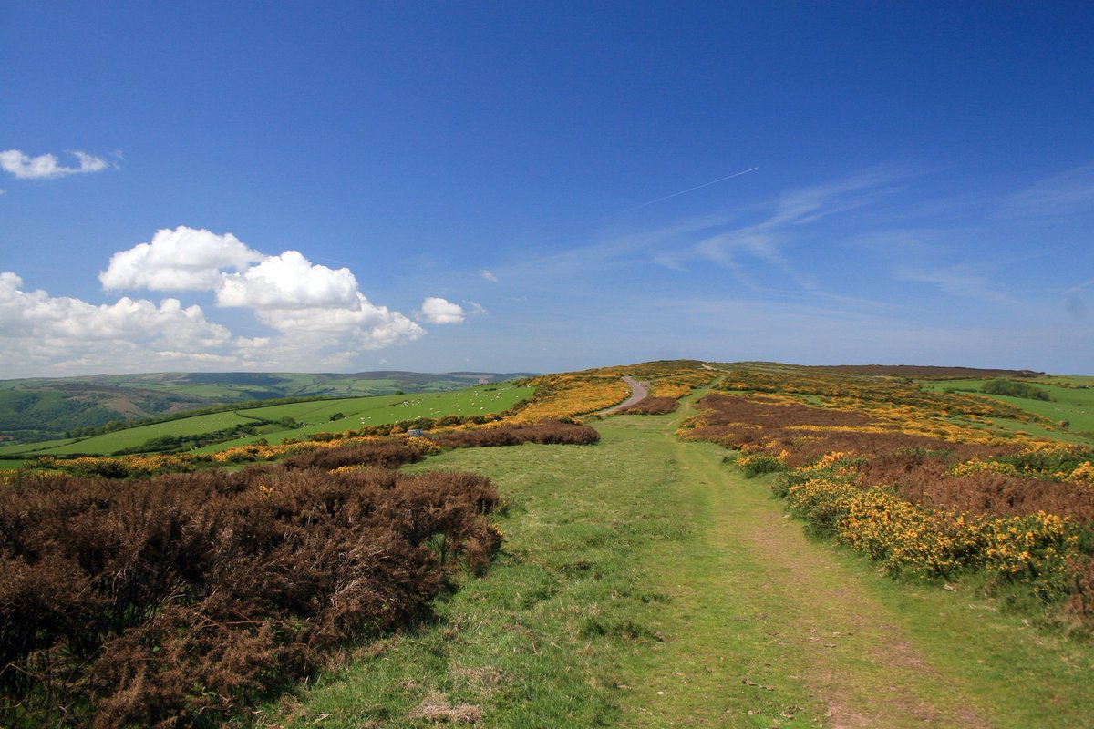 ScenicBuses's tweet photo. One of the UK’s most spectacular open top bus rides, combining the wild beauty of the Exmoor National Park and the seaside towns of Lynmouth &amp; Minehead - explore the Exmoor Coaster from @adventuresbybus.

Find out more on our website: https://t.co/7DsZ5wKCjJ https://t.co/YrabrTXSYq