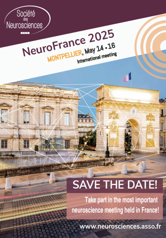 LaurieGalvan_EC's tweet photo. 🎉 [Symposium Accepté] 🎉"Exploring the Role of Parvalbumin Interneurons in Neurological Diseases" sera à #NeuroFrance2025 ! retrouvez @JeromeBaufreton @Neuro_Bordeaux, @JuanNacher, @UV_EG, @InesKhadimallah , @unil ,moi @unimesfr  chairman : @mathieuthab)  
🙏 @SocNeuro_Tweets https://t.co/a915ZUZLLC