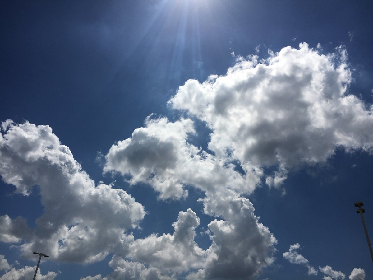 dan donian tweet media