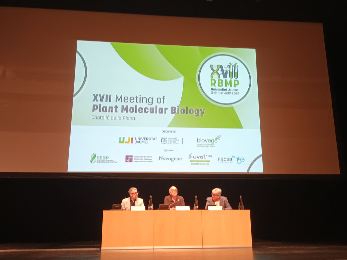 #XVIIRBMP let's the fun begin!