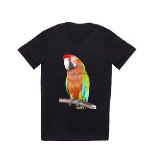 TaicheTees's tweet photo. Vector Style Harlequin Macaw On A Perch #TShirt #taiche #society6 #taiche #society6 #macawsofx #macaw #parrot #parrotsofx #macaws #macawparrot #macawlover #parrots #petsofx #parrotlover #freeflight #parrotlovers #birds https://t.co/BRCyQljFcK https://t.co/UpUqgNyvb7