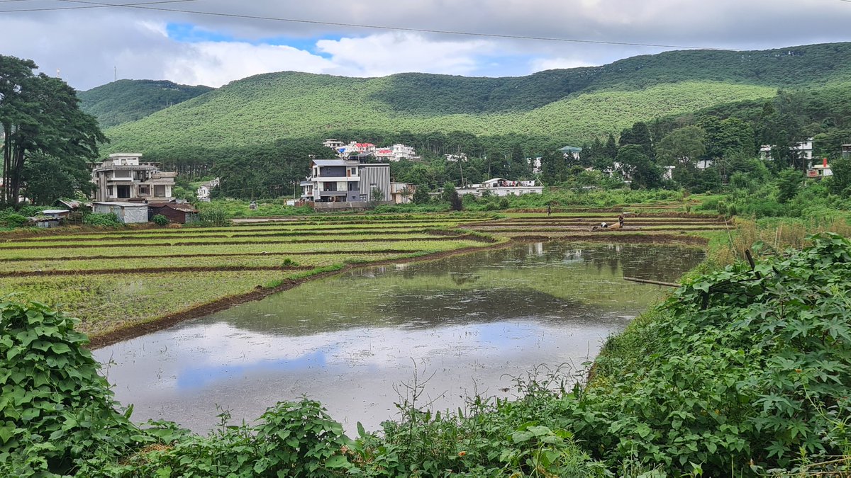 Dr Andrew Fleming 🇬🇧 🏴󠁧󠁢󠁳󠁣󠁴󠁿 tweet media