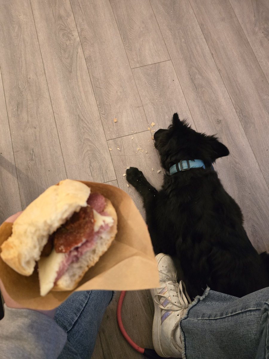 ValeriaCn12's tweet photo. Cesare molestando i ragazzi di Panillo per mangiare anche Lui un panino. #terminillo https://t.co/Ma41I08szV