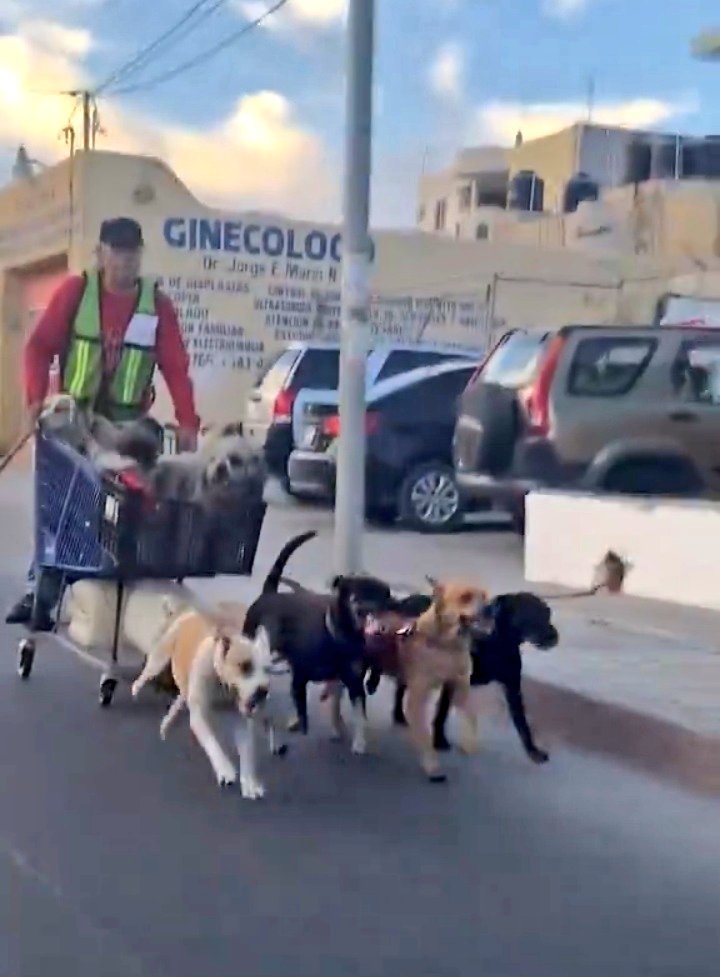 scarface tweet media