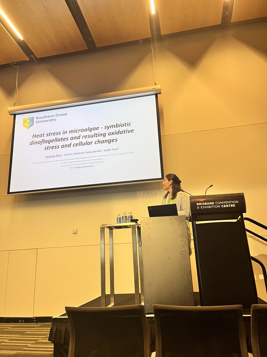 Nela Rosic tweet media