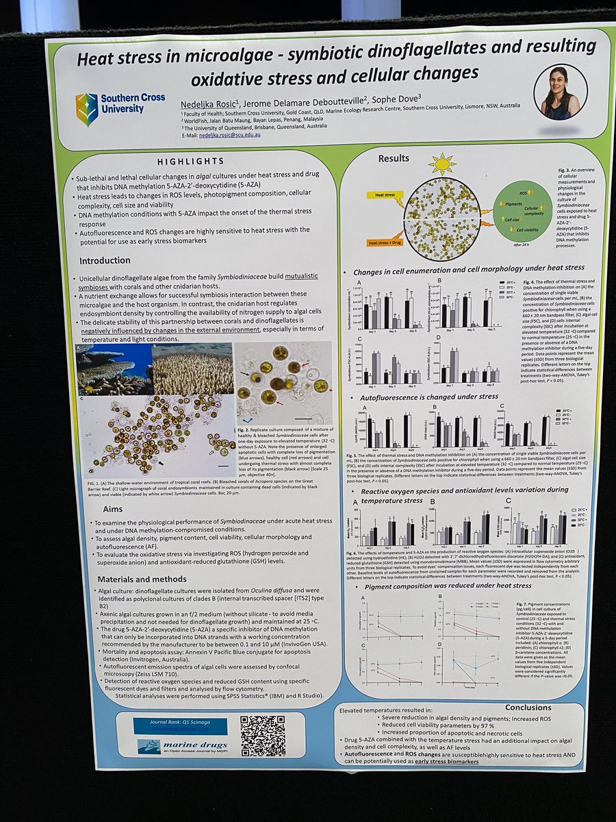 Nela Rosic tweet media