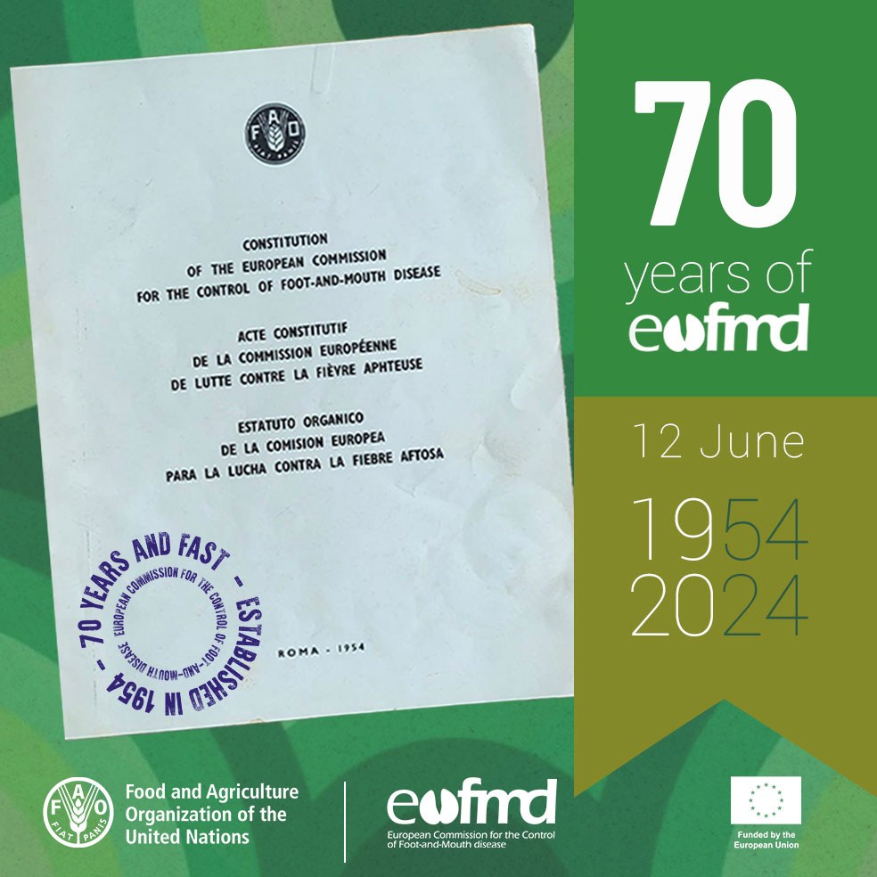 #70andFAST 1969 GS shorturl.at/8wi4M
 “Despite progress in controlling outbreaks, Europe remains vulnerable. Increased animal trade and diverse virus strains require more government focus on epizootiology, research, and field programs.