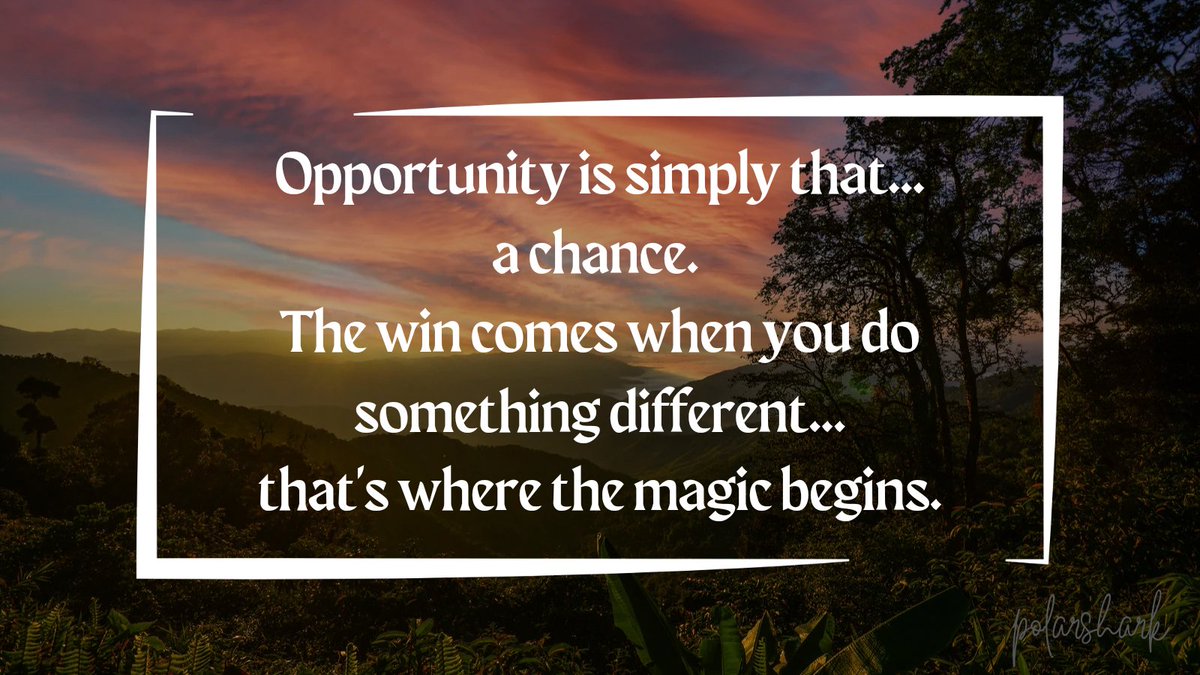 polarshark's tweet image. 