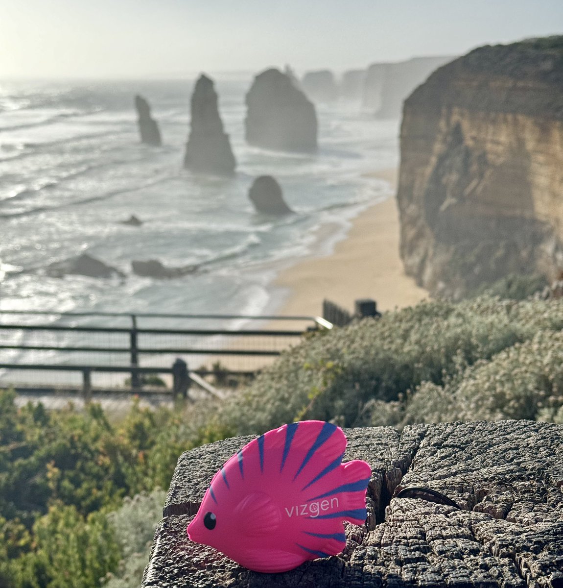 anjana_s_n's tweet photo. Here is a 📸 of #MERFY at #12Apostles at #GreatOceanRoad!! @vizgen_inc!! https://t.co/yXE2iZiYf8