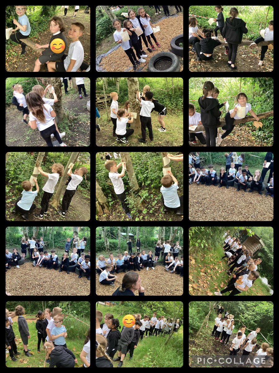 @MrsWY1Yellow have been exploring the forest today thanks to all of the kind helpers who cleared the area. We explored the numerous plants for our Science topic and looked at the patterns in bark rubbings #KS1explorers