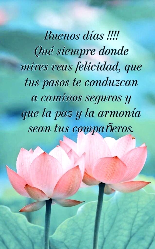 🍃🌹Victoria Bell🌹🍃 (@kevicky_1511) on Twitter photo Buenos dias !! 🍃🪷
#7FuerzasParaLaVictoria
#3Jul | 🙏💕
<a href="/SimnGuzmn7/">Simón Guzmán</a> <a href="/edalge/">@edalge</a> <a href="/fliaysaludfla/">𝐂𝐨𝐨𝐫𝐝. 𝐅𝐚𝐦𝐢𝐥𝐢𝐚 𝐲 𝐒𝐚𝐥𝐮𝐝 🅵🅻🅰</a>
<a href="/EricCue5/">Eric Cue</a> <a href="/gendarmeria53/">Alexis J.Cabrera 20k 😎🐳</a> <a href="/Alex190k/">Alexander</a>
<a href="/Eliza04083981/">Eliza ✌🏼😉</a> <a href="/rus_ito/">🌊🐬🐬Rusito🇻🇪❤️</a> <a href="/AASR2025/">Viva La Revolución Bolivariana</a>
<a href="/Clauditavolvio/">🌴💦 Claudia 💦🌴</a> <a href="/JoseNue92977240/">José Nue92977240</a>
<a href="/PedroJesusLanz4/">Pedro Jesus Lanz Urbina</a> <a href="/Mariang1Agube/">❤️Mariangel Agube❤️</a>
<a href="/guillvirfuent1/">Guillvirfuent@hotmail.com</a> <a href="/LOISCM3/">Luis Alexander C M 💻📲</a> @Ms_Pattyy <a href="/M_Cobbett71/">M.G. Cobbett (Writer/Reader/Reviewer) - see cover</a> Buenos dias !! 🍃🪷
#7FuerzasParaLaVictoria
#3Jul | 🙏💕
<a href="/SimnGuzmn7/">Simón Guzmán</a> <a href="/edalge/">@edalge</a> <a href="/fliaysaludfla/">𝐂𝐨𝐨𝐫𝐝. 𝐅𝐚𝐦𝐢𝐥𝐢𝐚 𝐲 𝐒𝐚𝐥𝐮𝐝 🅵🅻🅰</a>
<a href="/EricCue5/">Eric Cue</a> <a href="/gendarmeria53/">Alexis J.Cabrera 20k 😎🐳</a> <a href="/Alex190k/">Alexander</a>
<a href="/Eliza04083981/">Eliza ✌🏼😉</a> <a href="/rus_ito/">🌊🐬🐬Rusito🇻🇪❤️</a> <a href="/AASR2025/">Viva La Revolución Bolivariana</a>
<a href="/Clauditavolvio/">🌴💦 Claudia 💦🌴</a> <a href="/JoseNue92977240/">José Nue92977240</a>
<a href="/PedroJesusLanz4/">Pedro Jesus Lanz Urbina</a> <a href="/Mariang1Agube/">❤️Mariangel Agube❤️</a>
<a href="/guillvirfuent1/">Guillvirfuent@hotmail.com</a> <a href="/LOISCM3/">Luis Alexander C M 💻📲</a> @Ms_Pattyy <a href="/M_Cobbett71/">M.G. Cobbett (Writer/Reader/Reviewer) - see cover</a>