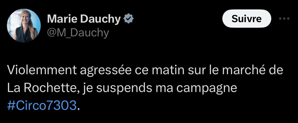 Frontieresmedia's tweet image. ⚡️8 jours d’ITT pour Marie Dauchy, candidate RN qui a été agressée sur un marché dans le cadre des #legislative2024 en Savoie.