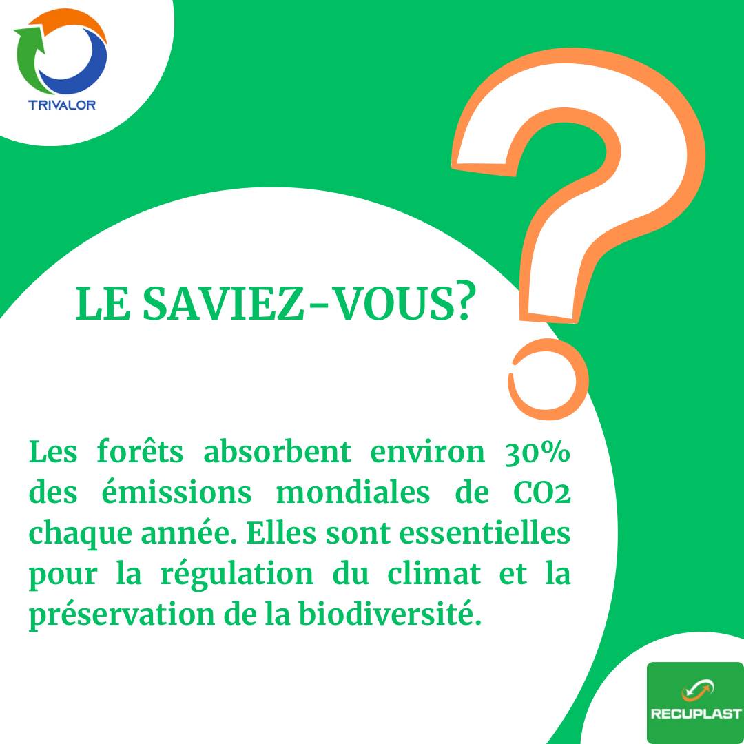 Le saviez-vous ?

#Sénégal #triselectif #environnement #proplast #recuplast #sauvonslaplanete #EngagementEnvironnemental